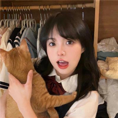 追捕